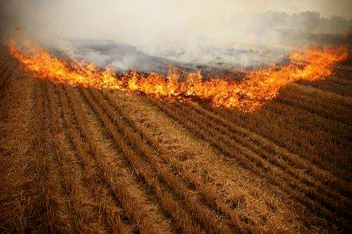 熊良虎赴京考察德国迪芬巴赫公司、ESATPOINT GLOBAL公司生态跳高高试玩板材装备工艺