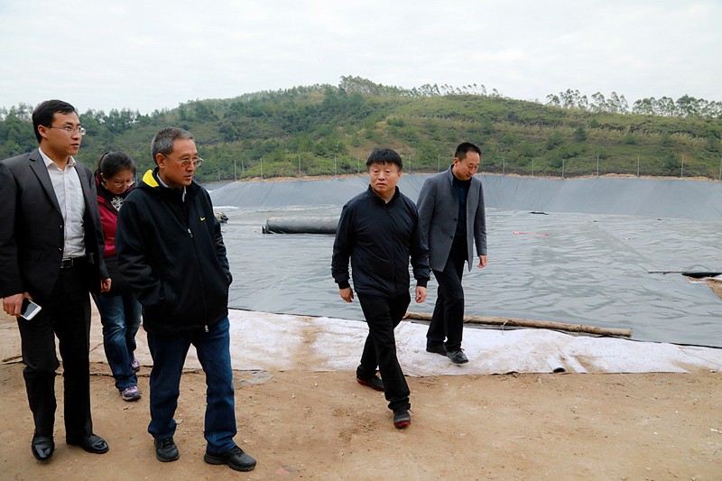 熊良虎在广西考察调研固废处置惩罚事情时指出：抢抓机缘，，，，加速优势工业“走出去”