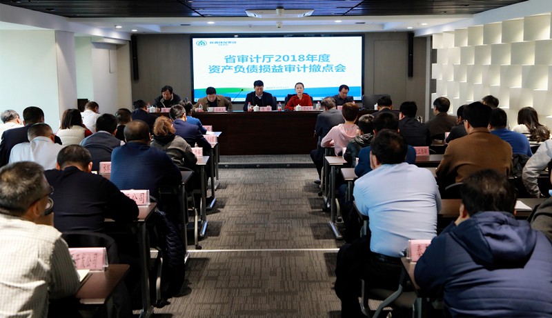 省审计厅对陕西跳高高试玩集团2018年度资产欠债损益审计撤点会召开