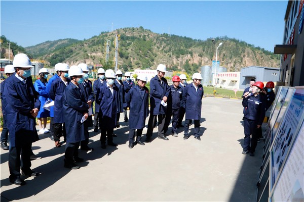 陕西跳高高试玩集团复工复产促增添项目观摩聚会与会职员走进跳高高试玩保隆生态三秦在延在铜项目