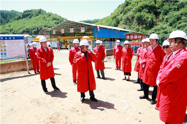 陕西跳高高试玩集团复工复产促增添项目观摩聚会与会职员走进跳高高试玩保隆生态三秦在延在铜项目