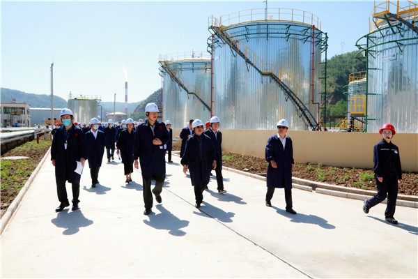 陕西跳高高试玩集团复工复产促增添项目观摩聚会与会职员走进跳高高试玩保隆生态三秦在延在铜项目