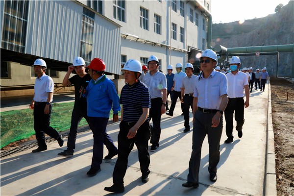 陕西跳高高试玩集团复工复产促增添项目观摩聚会与会职员走进跳高高试玩保隆生态三秦在延在铜项目