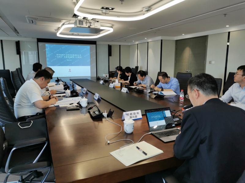 陕西跳高高试玩集团召开“十四五”生长妄想专家评审座谈会