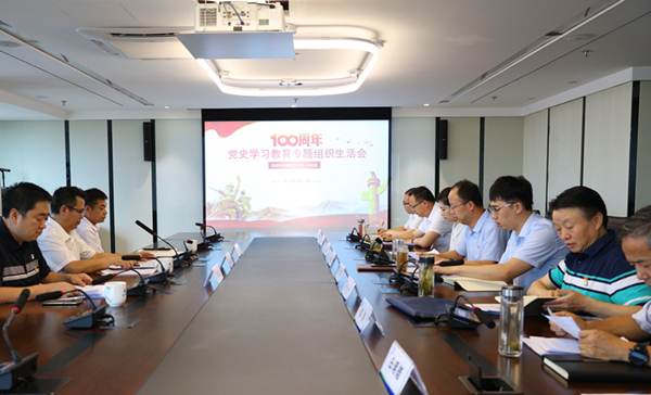 省委党史学习教育第十七巡回指导组旁听指导陕西跳高高试玩集团机关第一党支部党史学习教育专题组织生涯会