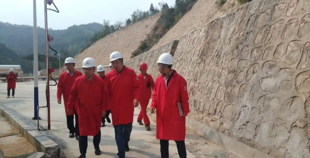 省治本攻坚三年行动事情专班到陕西跳高高试玩集团督导检查