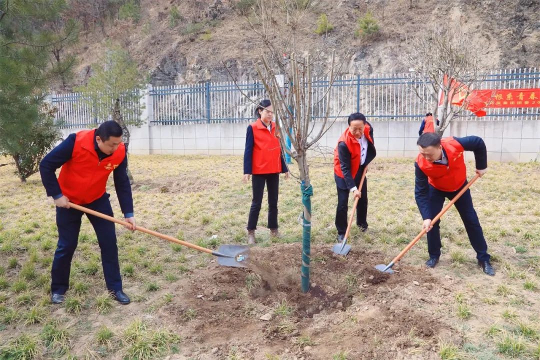 根系青春·植此青绿｜陕西跳高高试玩集团团委开展义务植树自愿活动