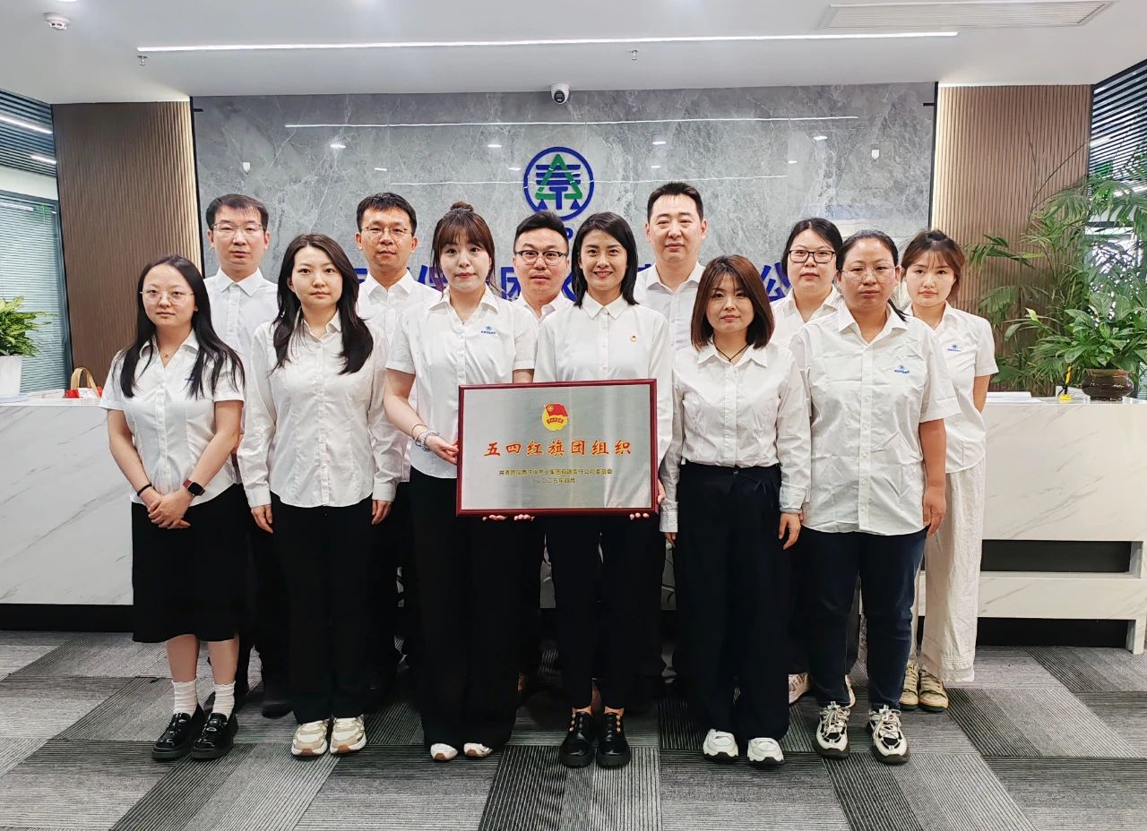 陕西跳高高试玩集团“五四红旗团组织”｜水情形公司：青春奋进正其时 不负春光争朝夕